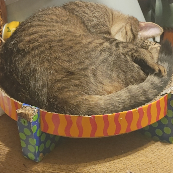 Meet your Posher, Luke - Picture 3 of 5